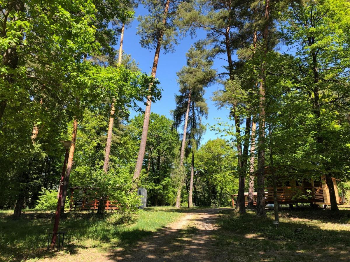 Camping Osenbach Zewnętrze zdjęcie